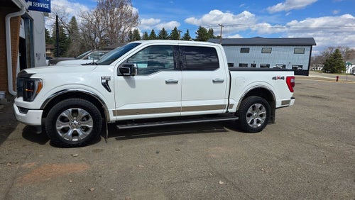 2022 Ford F-150 Platinum