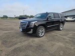 2020 Cadillac Escalade Platinum Edition