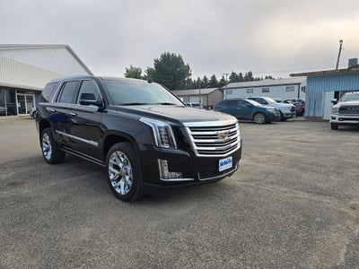 2020 Cadillac Escalade Platinum Edition