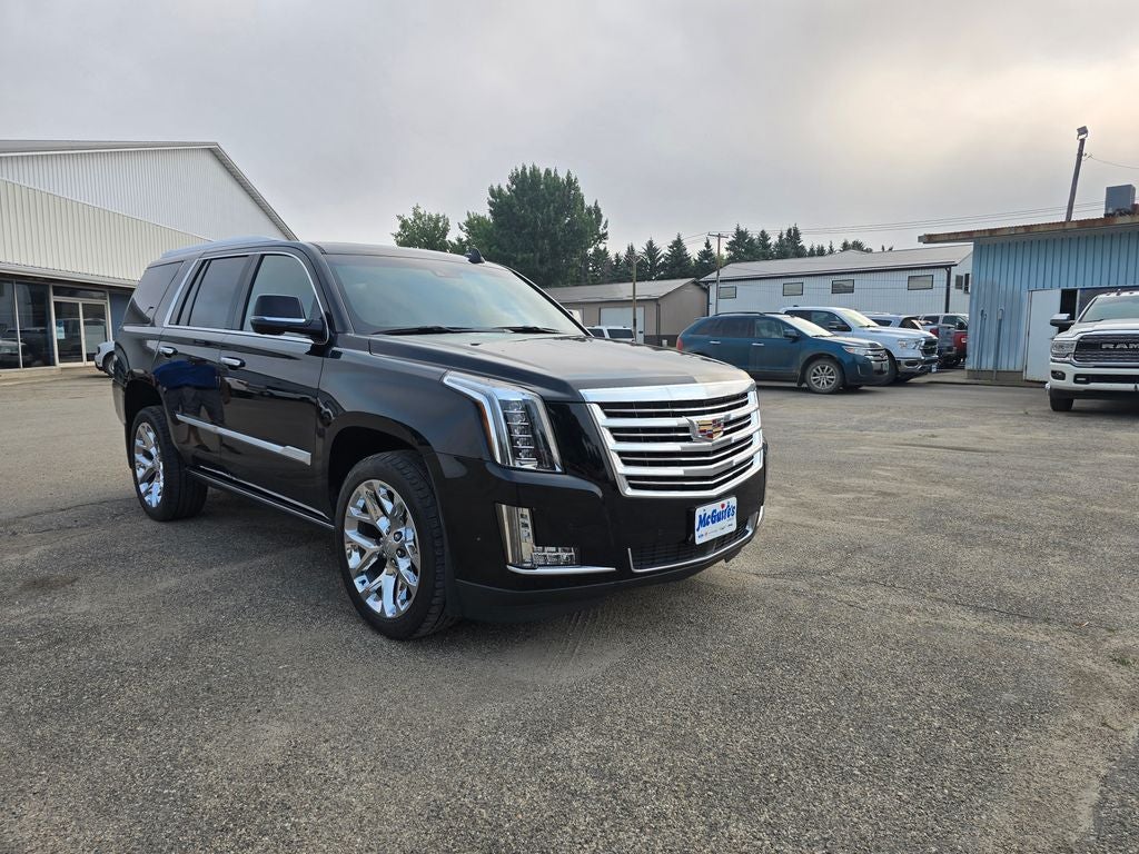 2020 Cadillac Escalade Platinum Edition