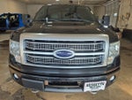 2012 Ford F-150 Platinum