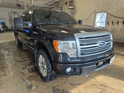 2012 Ford F-150 Platinum