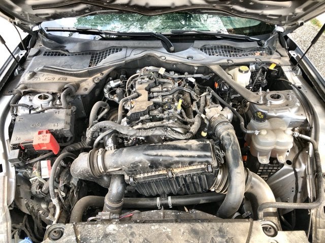 2024 Ford Mustang Base