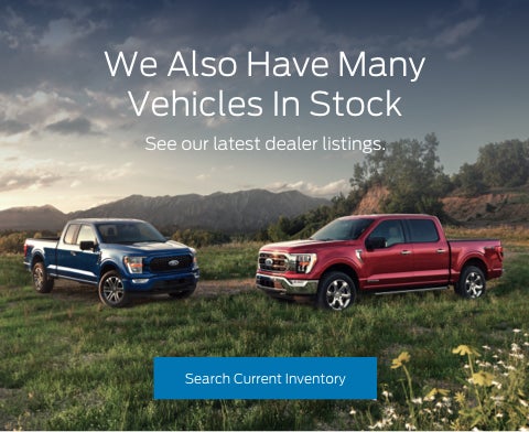 Ford vehicles in stock | M J McGuire Company in Rugby ND